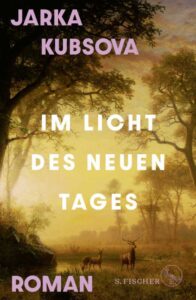 Cover von Jarka Kubsovas Roman Im Licht des neuen Tages